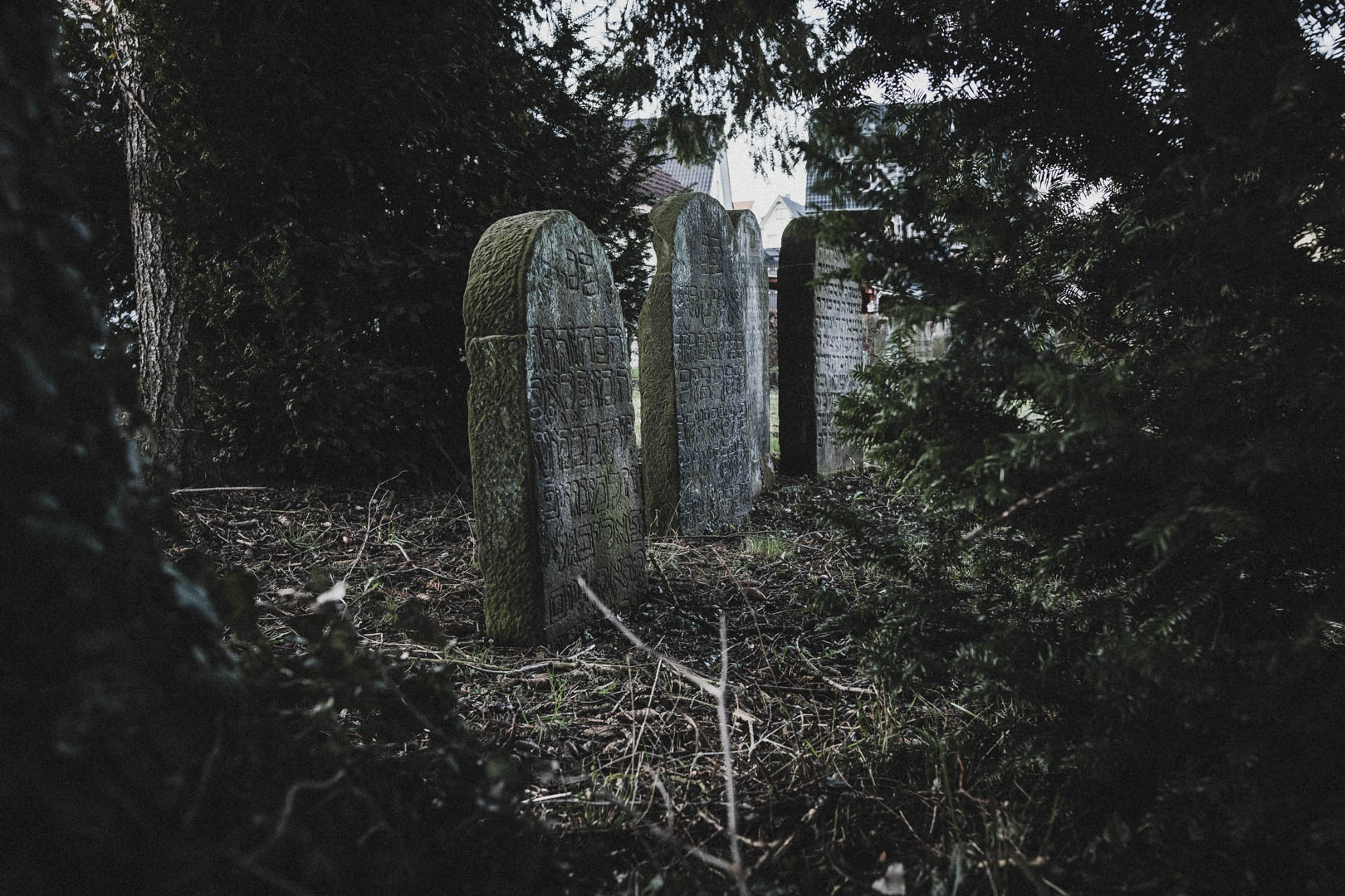 Horn-Bad Meinberg, Jüdischer Friedhof